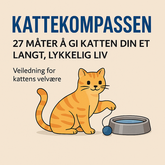 E-bok: 27 måter å gi katten din et langt og lykkelig liv