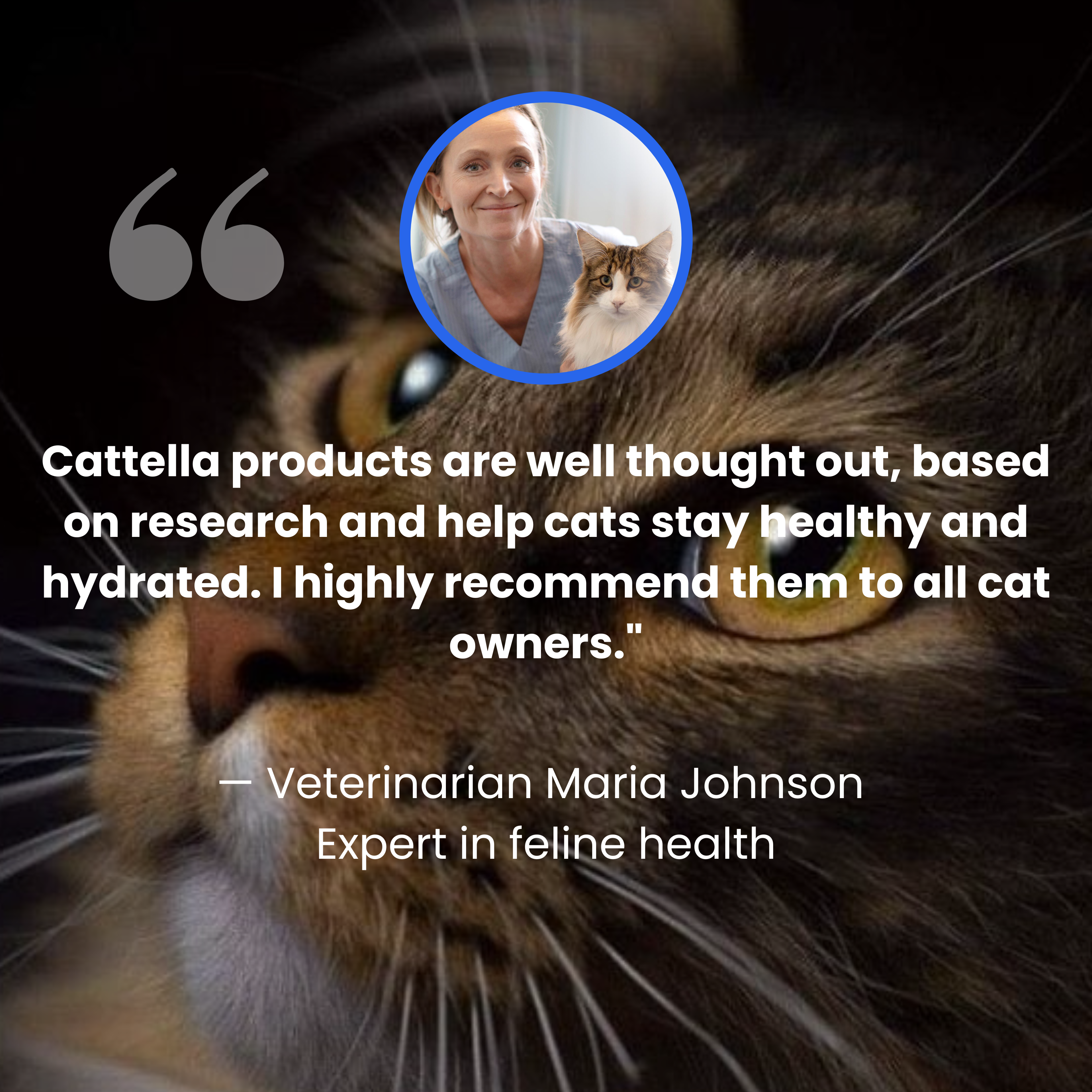 Cattella Stainless Steel Pet Fountain