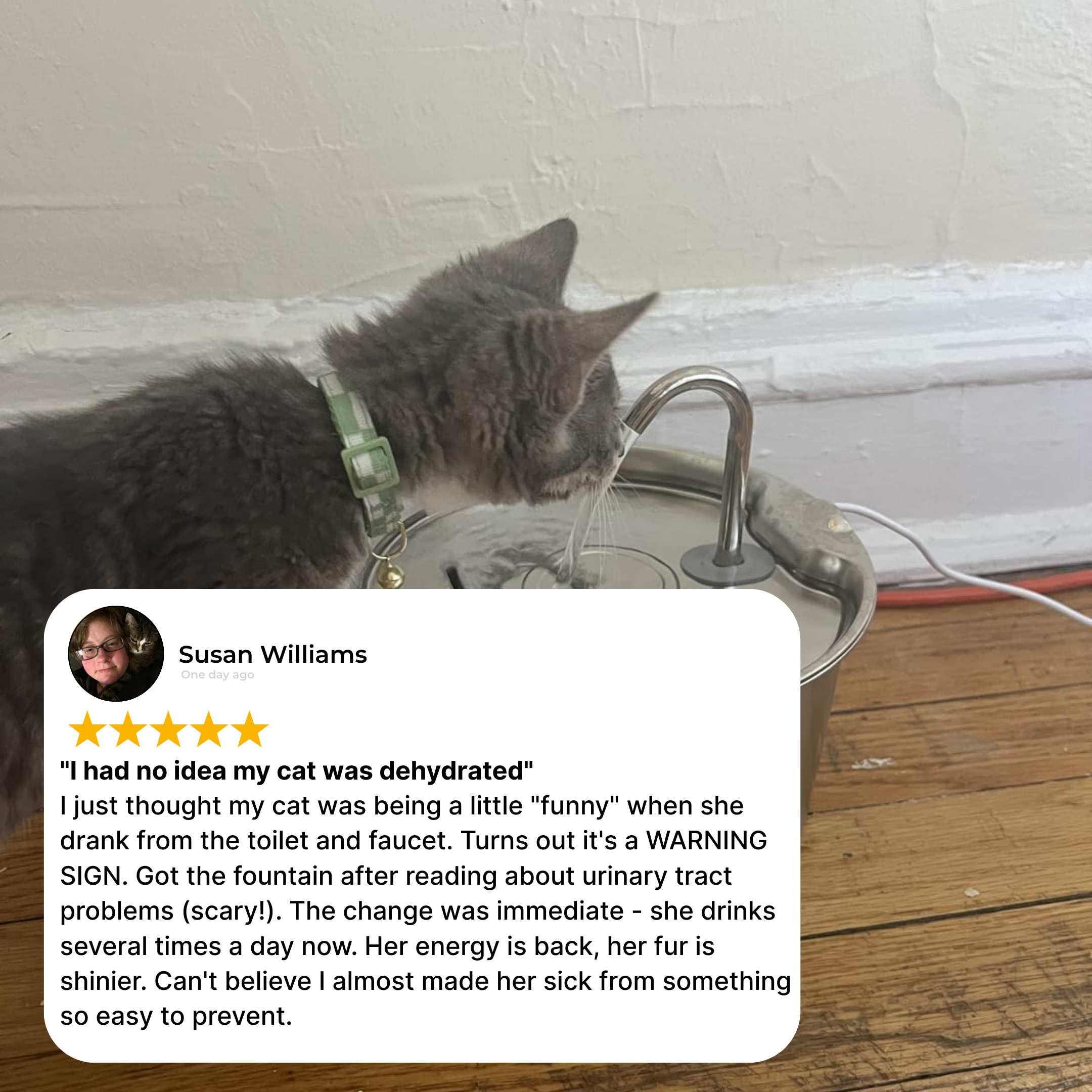 Cattella Stainless Steel Pet Fountain