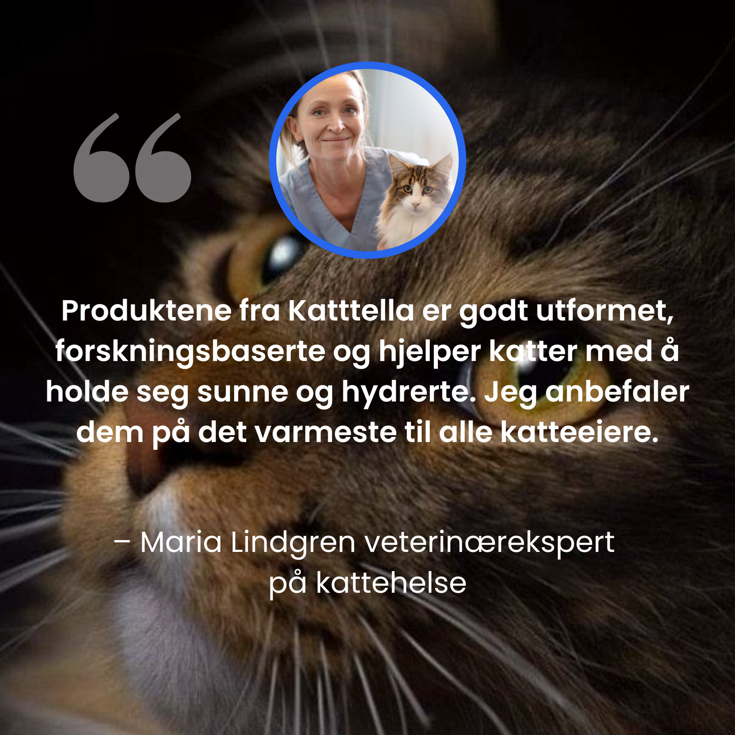 Kattellas Vannfontene i Rustfritt Stål