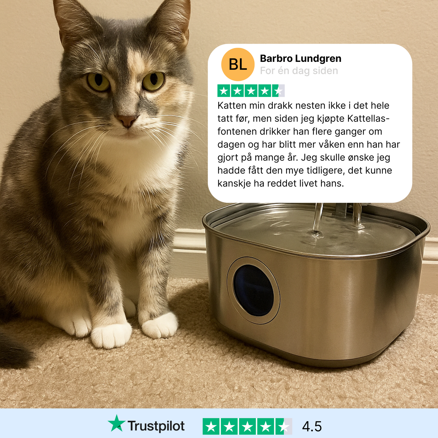 Kattellas Vannfontene i Rustfritt Stål