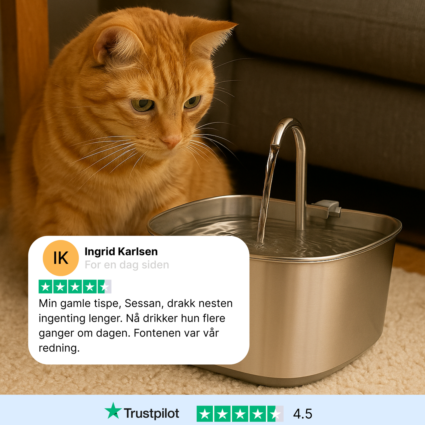 Kattellas Vannfontene i Rustfritt Stål