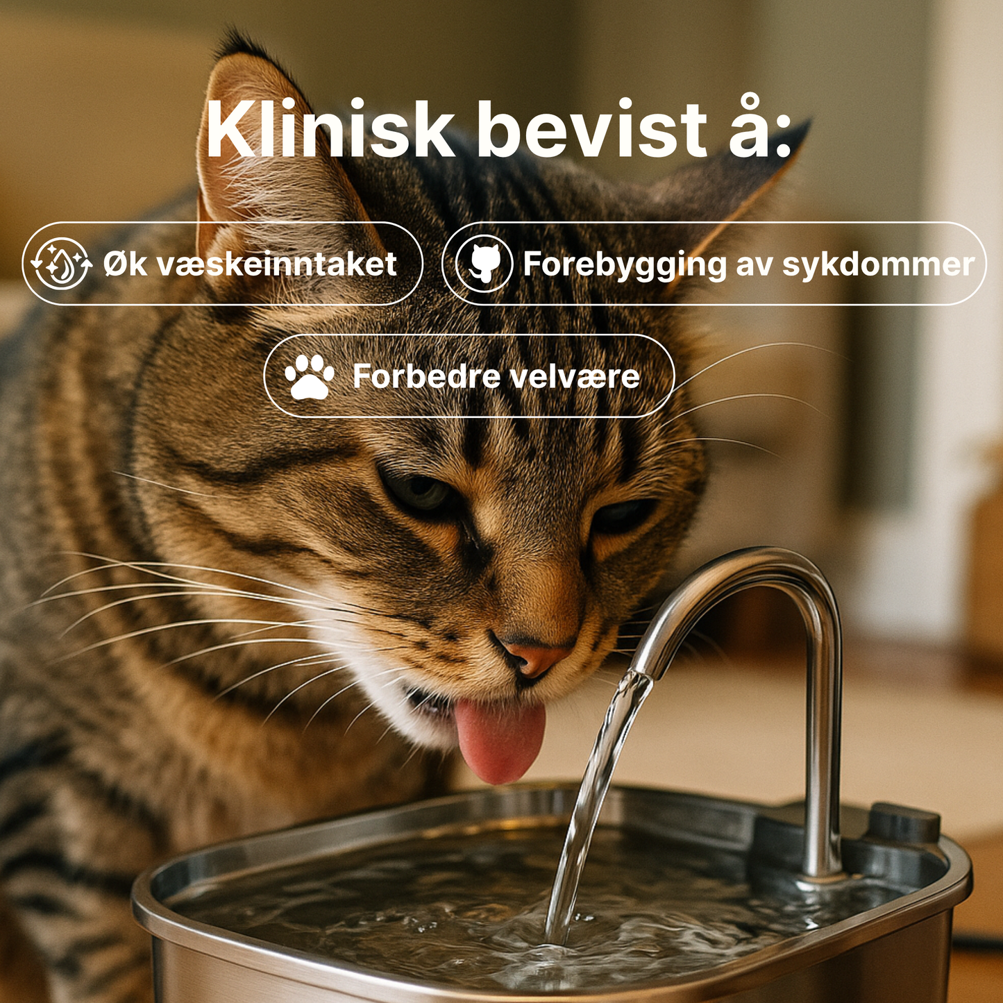 Kattellas Vannfontene i Rustfritt Stål